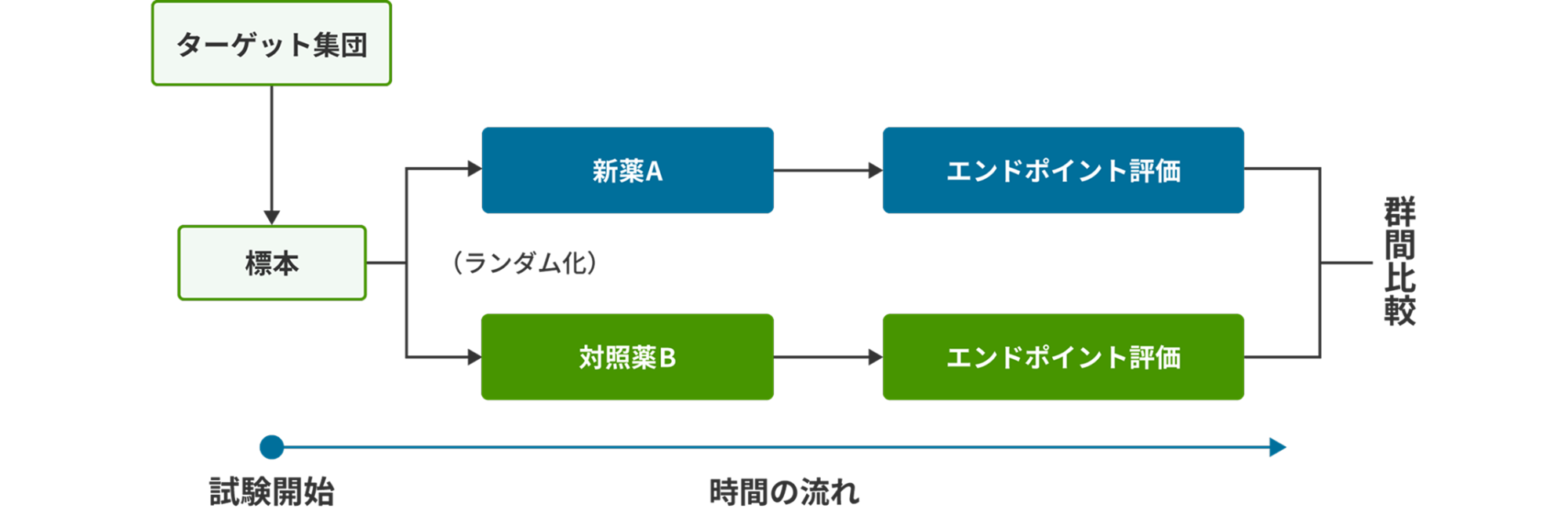 群間⽐較試験（group comparison study）