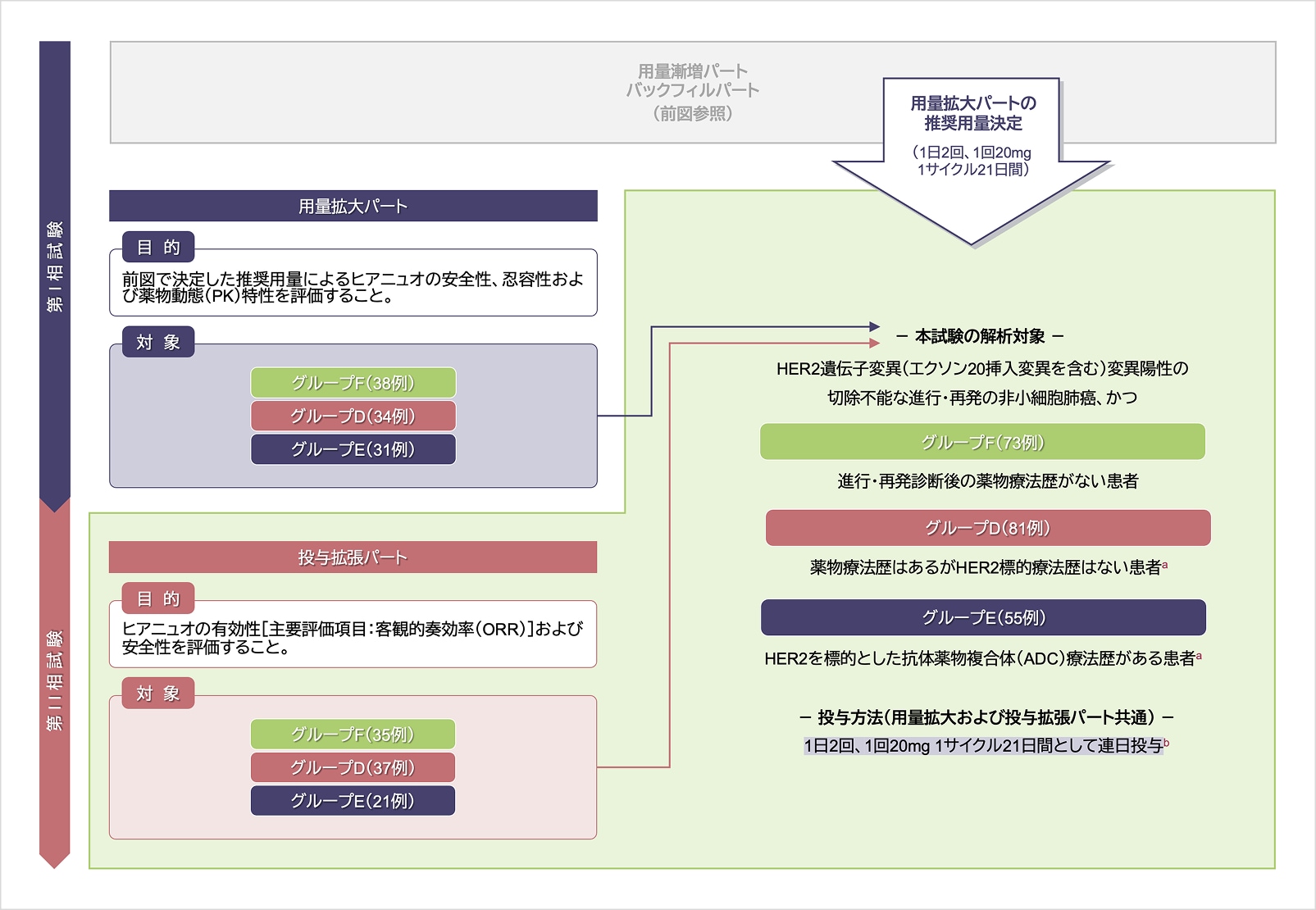 試験デザイン［用量拡大および投与拡張パート］
