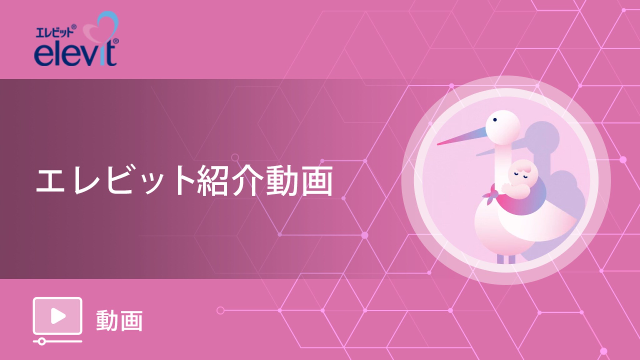 新しくなったエレビット紹介動画「コウノトリのお知らせ」