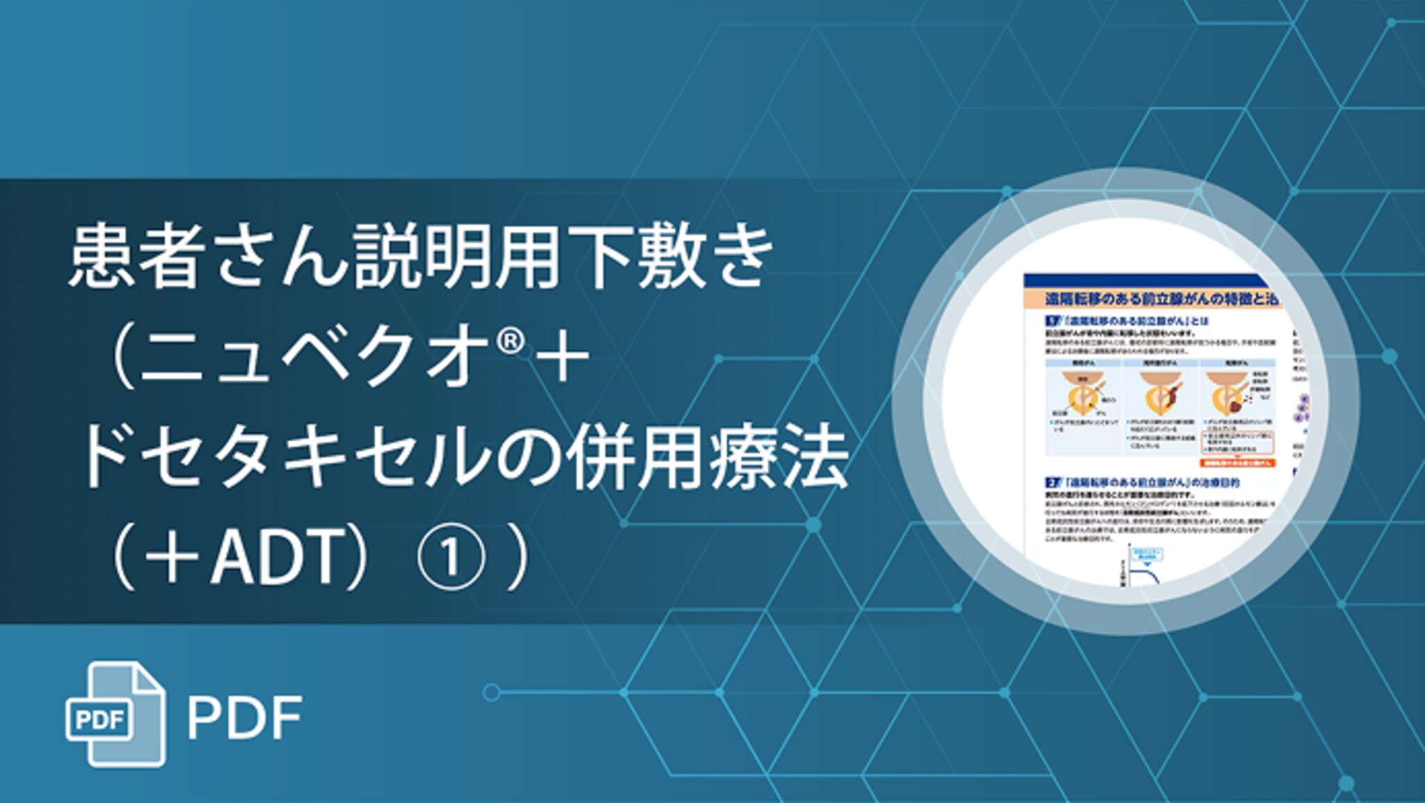 患者さん説明用下敷き（ニュベクオ®︎＋ドセタキセルの併用療法（＋ADT）①）
