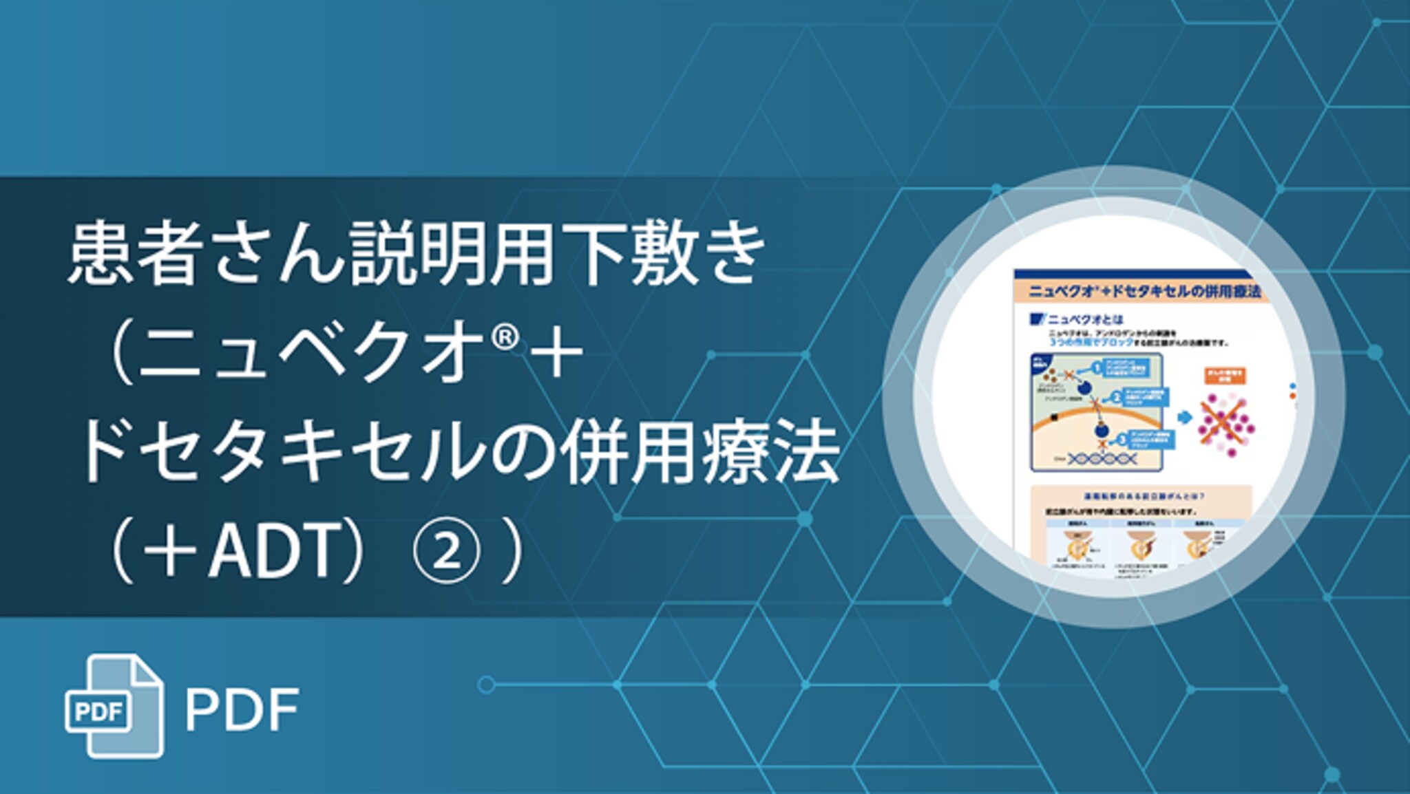 患者さん説明用下敷き（ニュベクオ®︎＋ドセタキセルの併用療法（＋ADT）②）