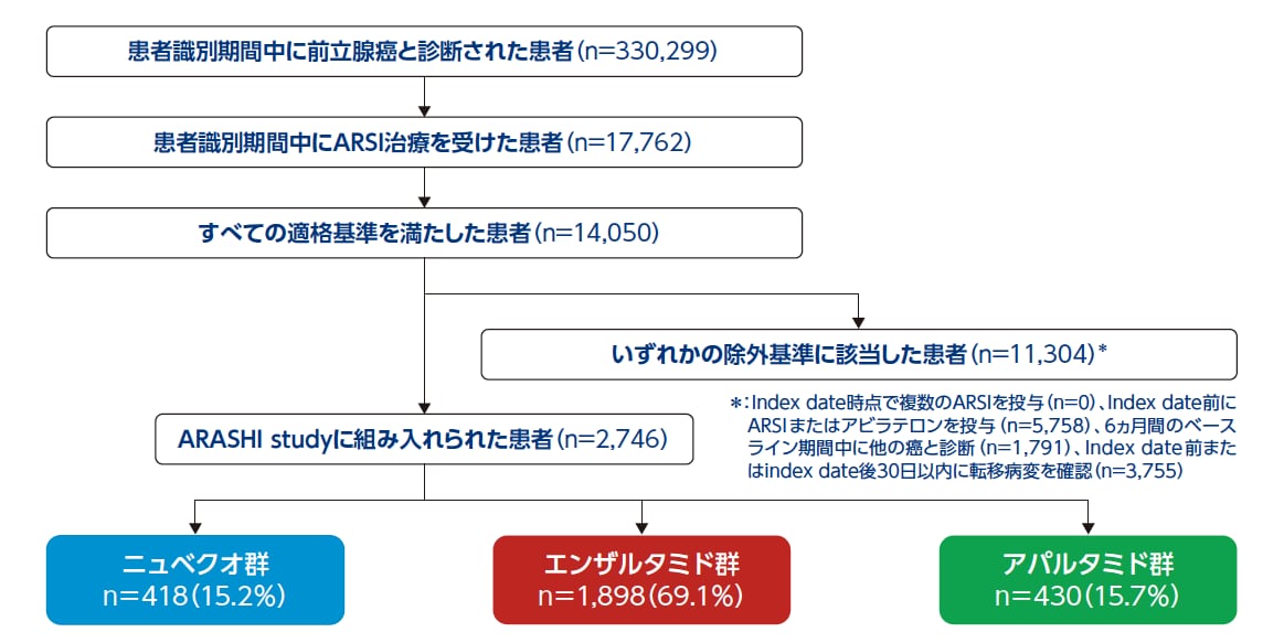ARASHI Study - 解析対象患者の図