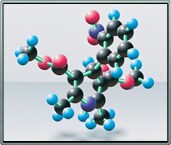 日独のCa拮抗薬研究、ここに始まる