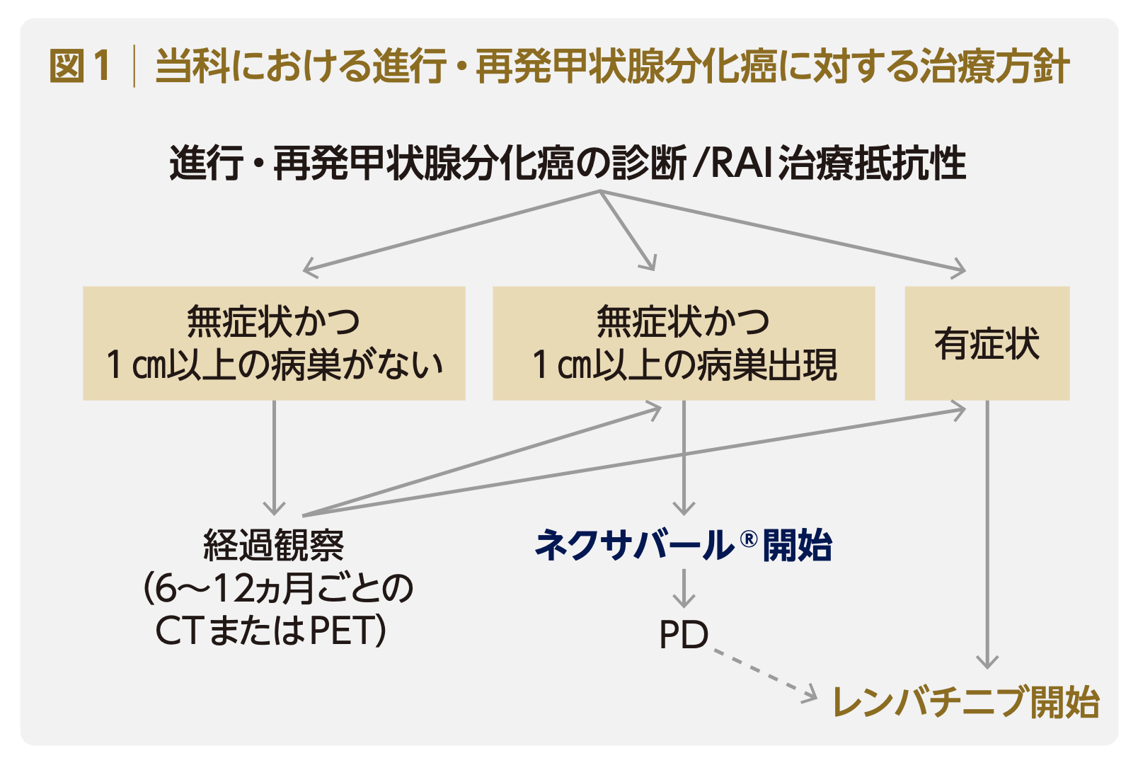 RAI治療抵抗性進行・再発甲状腺分化癌に対する治療方針 RAI治療抵抗性進行・再発甲状腺分化癌に対する治療方針
